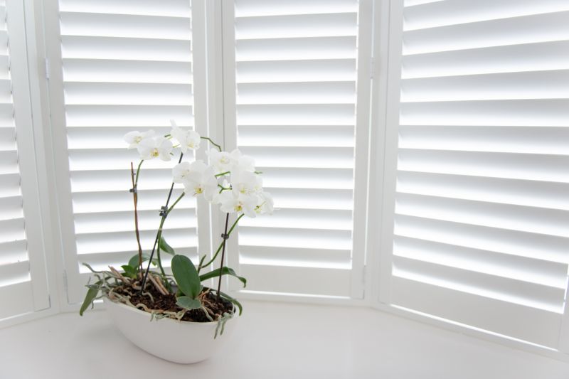Exterior Shutters Installation in Kansas City, MO