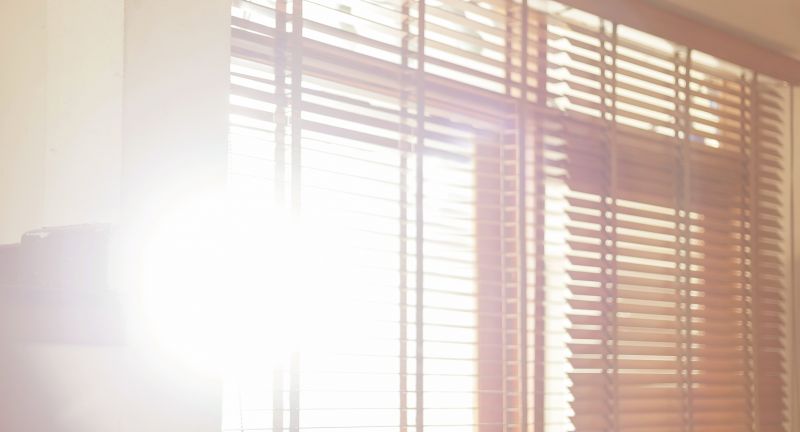 Spring Installation Scene